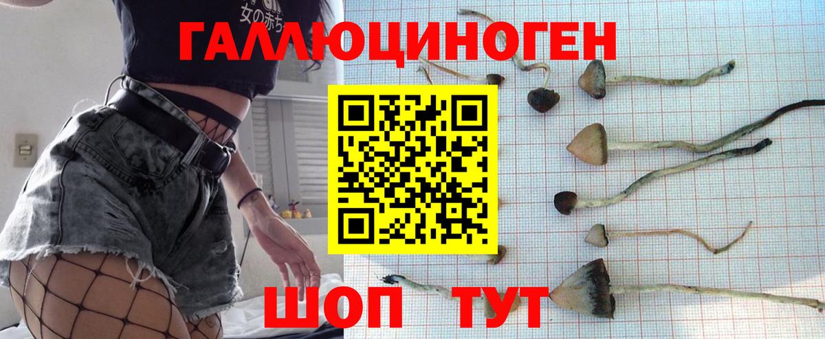 Псилоцибиновые грибы мухоморы Королёв